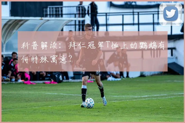 科普解读：拜仁冠军T恤上的鹦鹉有何特殊寓意？